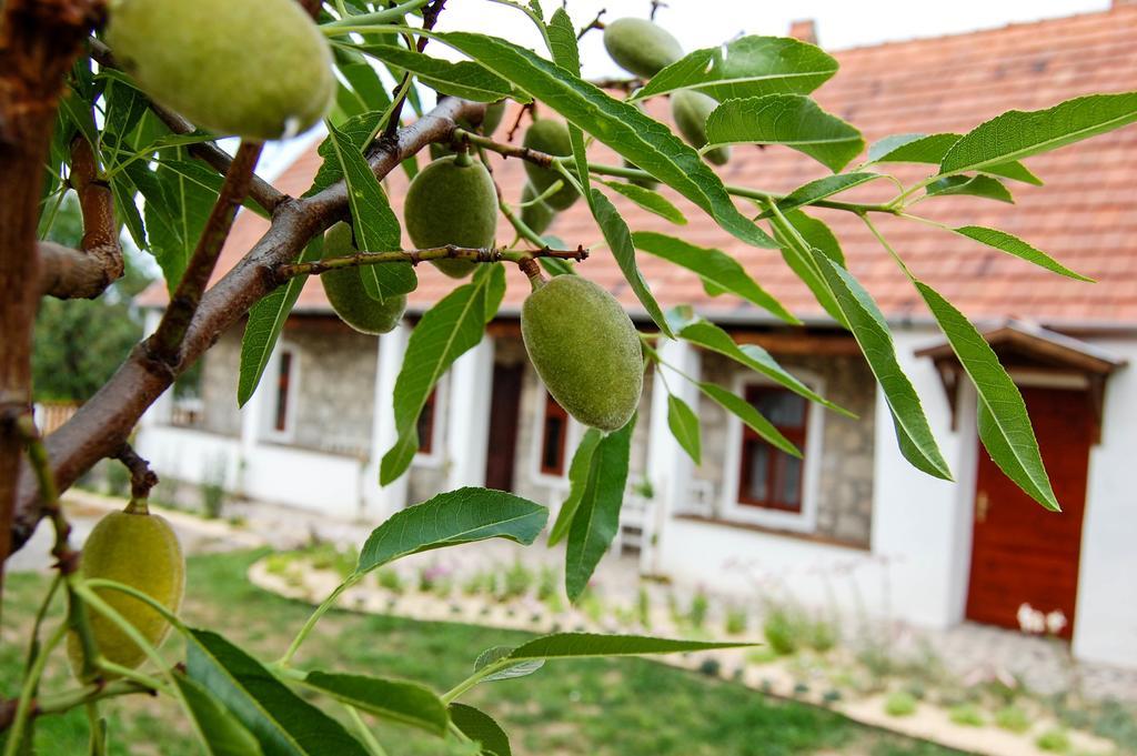 Vitamin B63 Vendeghaz Boldogkovaralja Buitenkant foto